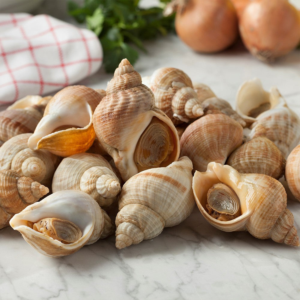 Bulots cuits frais à la provencale