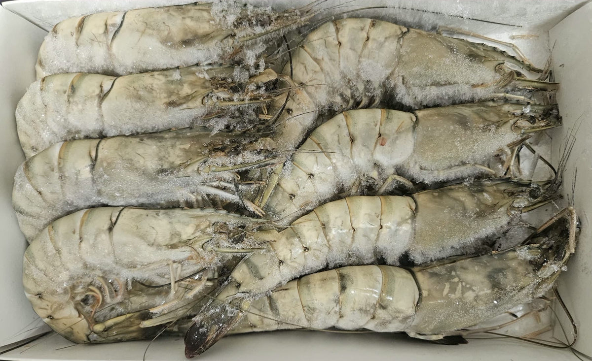Crevettes crues "Gambas" LABEL ROUGE