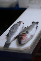 2 pièces de bar français