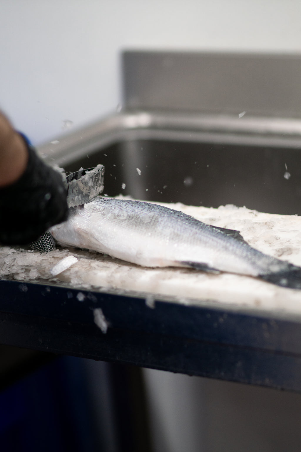2 pièces de bar français