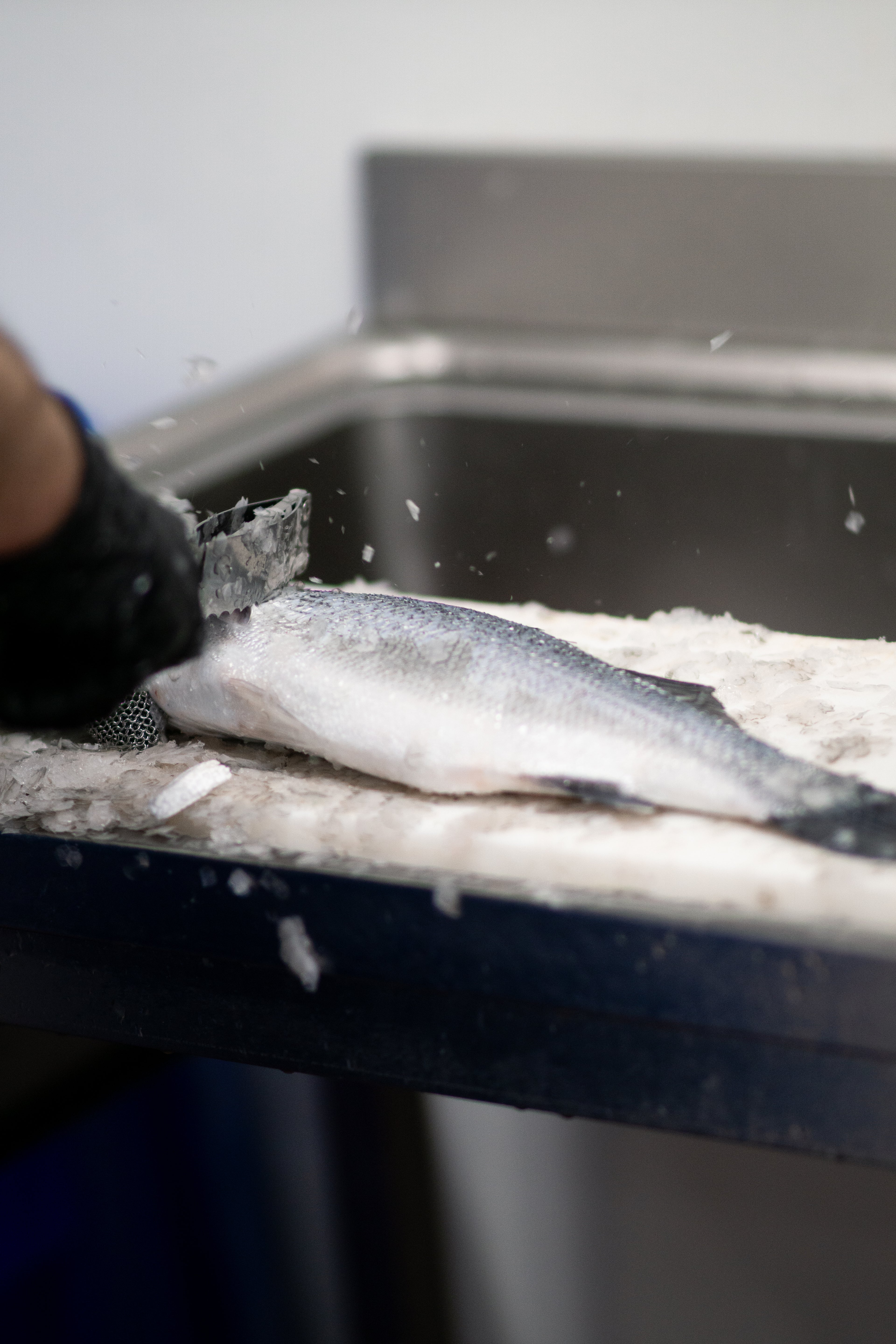 2 pièces de bar français