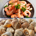 Duo crevettes roses et bulots cuits frais