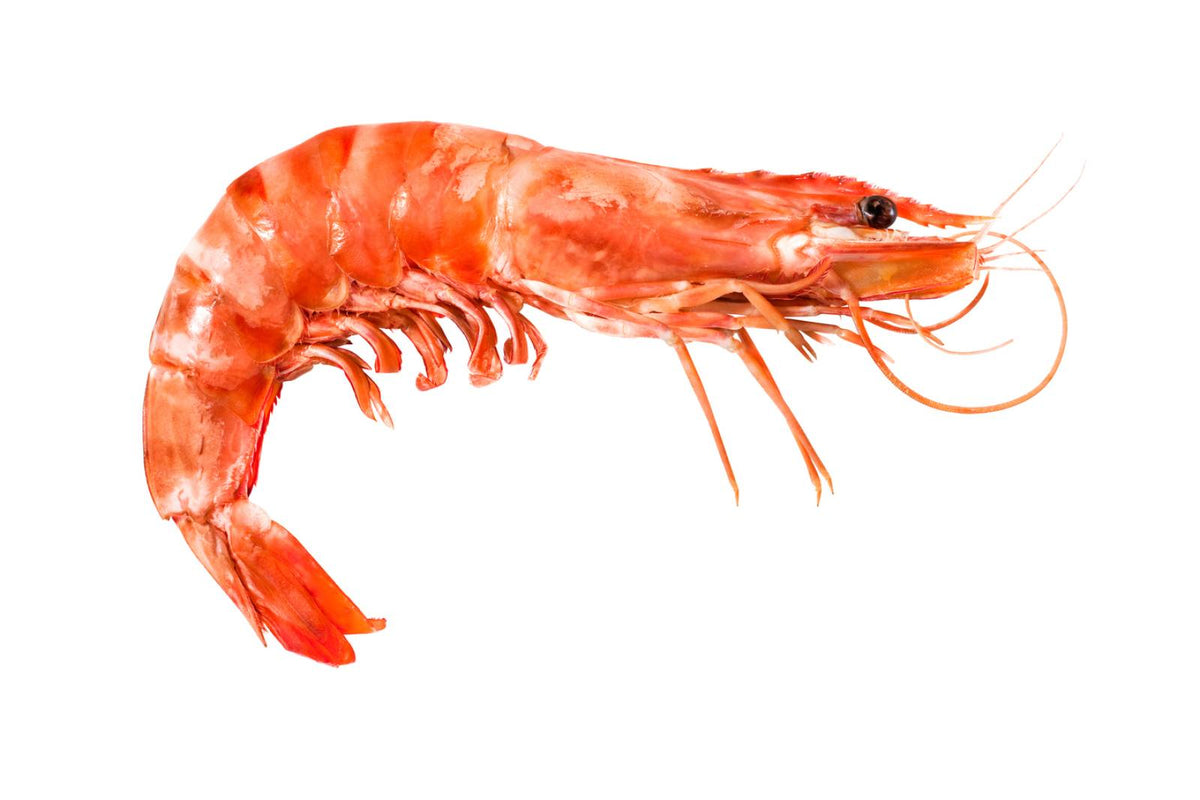 Crevettes cuites indienne - Monodon - Très grosses