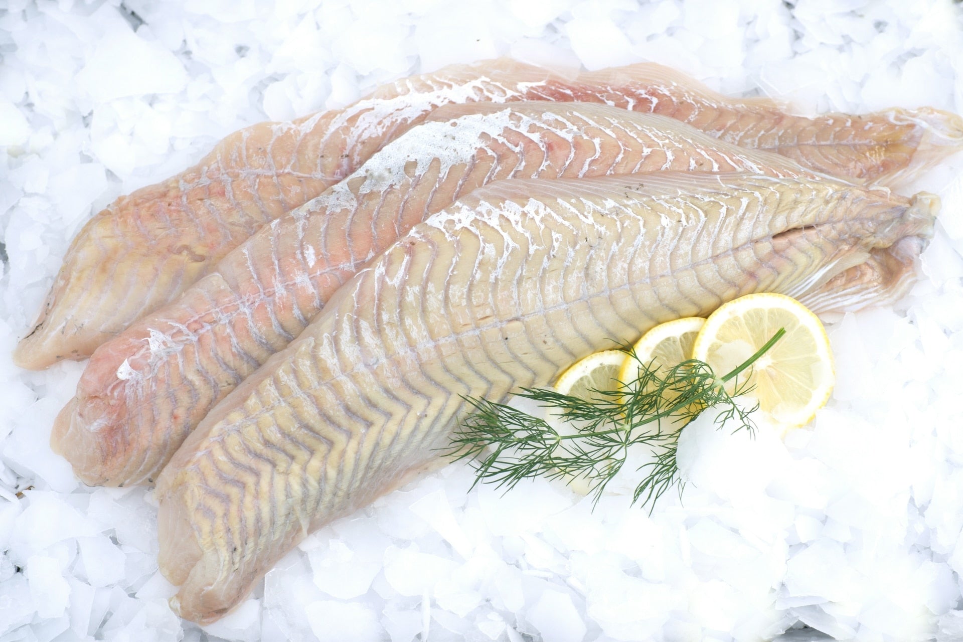 Filet de lieu noir GROS