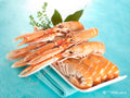 Langoustines fraîches Écosse