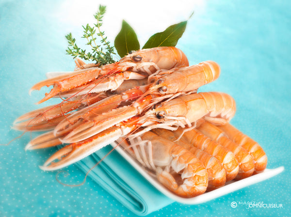 Langoustines fraîches Écosse